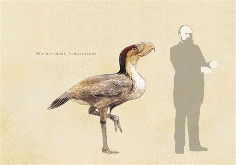 Image result for Extinct Bricks Phorusrhacos