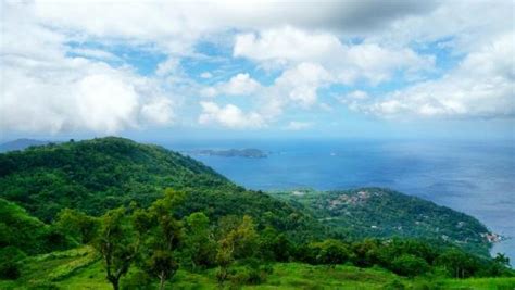 Mt. Gulugod Baboy Trail (Mabini) - 2021 What to Know Before You Go ...