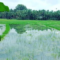 Best Top Rated Hindu temple in Kannamangalam, Kerala, India | Yappe.in