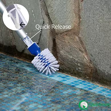 Quickway Imports Round Brush Head Fine Bristle Scrub for Pools Spas Hot ...