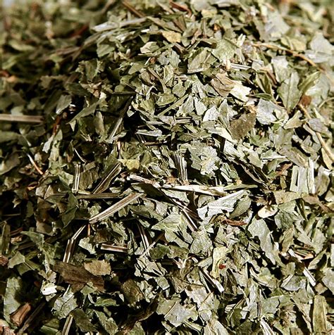 Woodruff, herba kering, 20 gram, Kaca | GOURMET VERSAND Toko Online