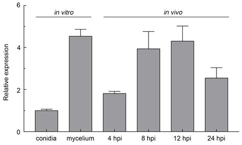 A Cerato-Platanin Family Protein FocCP1 Is Essential for the ...
