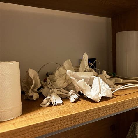 HIPSTERCITY (Singapore) - Specialty Hotel Reviews, Photos, Rate ...