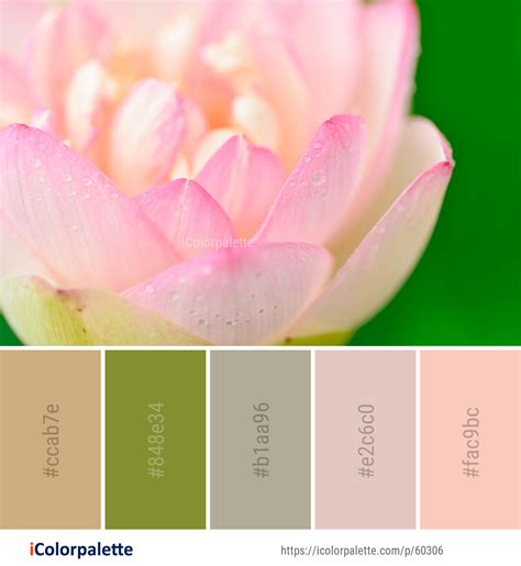 Color Palette ideas from 172 Lotus Images | iColorpalette | Color ...