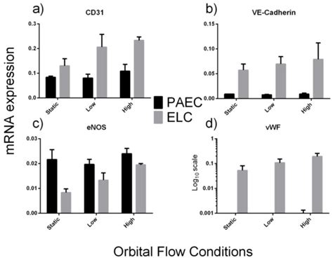 Development and Preliminary Testing of Porcine Blood-Derived ...