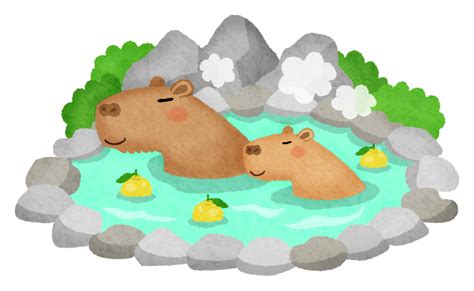 Image result for Python Topics to Learn