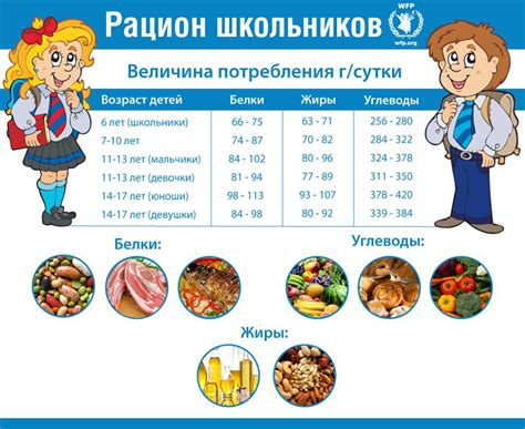 Школьное питание – дневной рацион,подбор блюд в меню — Организация ...