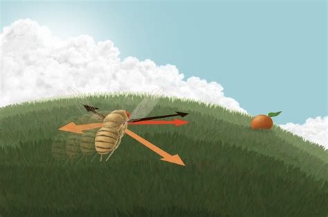 Bayesian Fly 的图像结果