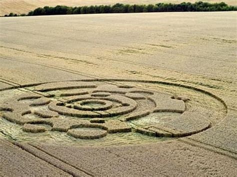 Alien DNA Crop Circle 的图像结果