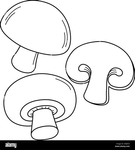 Mushroom Vegetable Isolated Coloring Page Stock Vector Image & Art - Alamy