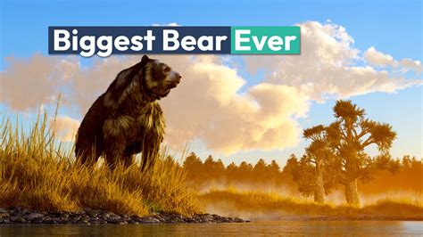 The World's Biggest Bear Ever Recorded Outweighed A Truck