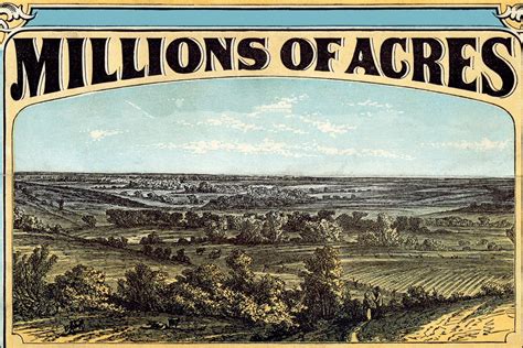 Homestead Act Poster Center For Interactive Learning Content