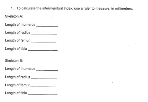 Image result for Locomotor Patterns in Primates