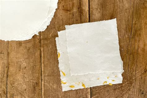 Image result for Papermaking DIY