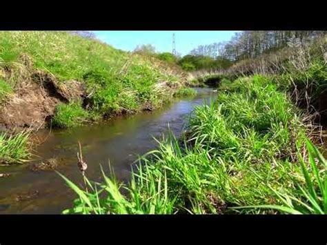 Image result for Water Stream Relaxation