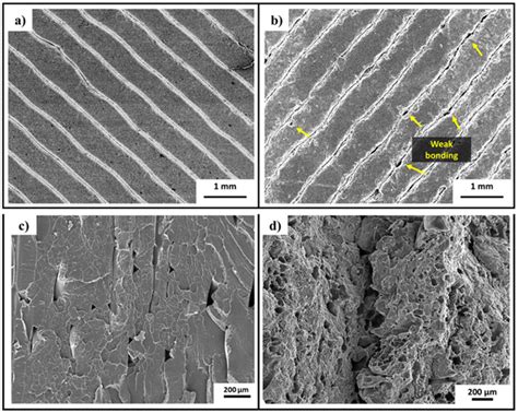 Biodegradable Poly(Lactic Acid) Nanocomposites for Fused Deposition ...