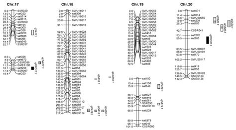 Agronomy | Special Issue : Soybean Molecular Breeding for Yield ...