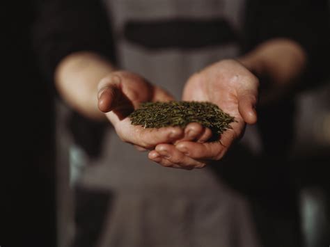 Does kombucha contain caffeine? It depends. – MOMO Kombucha
