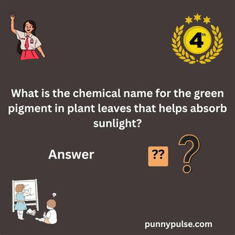 126+ 4th Grade Trivia Questions and Answers to Challenge Young Minds ...