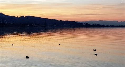 Lachen Tourism (2020): Best of Lachen, Switzerland - Tripadvisor