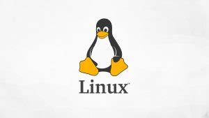 Image result for All Types of Linux
