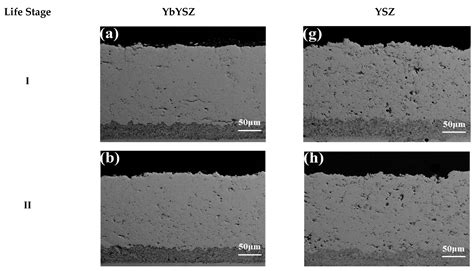 Damage Grading Evaluation of Thermal Barrier Coatings under CMAS Corrosion