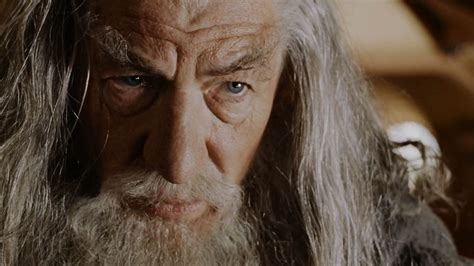 Image result for Static vs Dynamic Character Definition