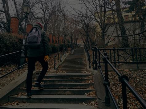 TreeView File Explorer 的图像结果