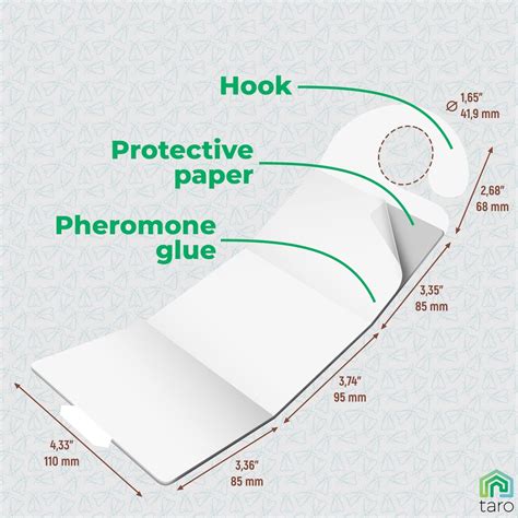 Buy Clothes Moth Traps with Pheromones and Free Cedar Blocks Moth ...