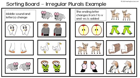 Reading2success: Irregular Plural Nouns: mice-mouse and calf-calves