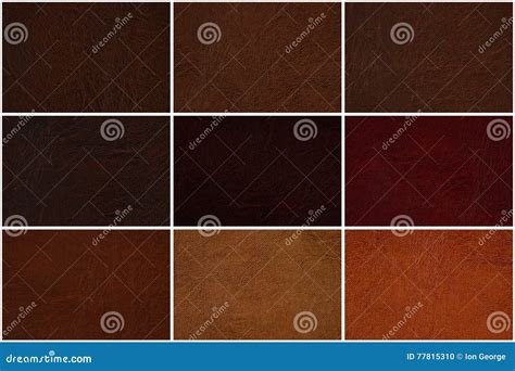 Leather Texture Set in Several Shades of Brown Stock Photo - Image of ...
