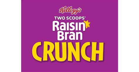 Raisin Bran Logo SE Grocers SE Grocers Raisin Bran Cereal 18.7