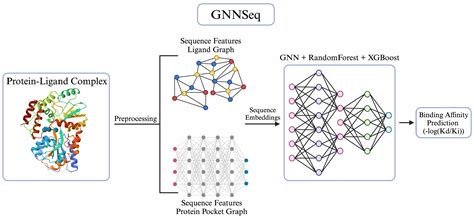 GNNSeq: A Sequence-Based Graph Neural Network for Predicting Protein ...