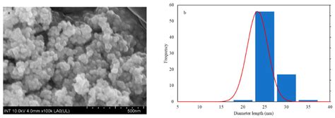 Surface Modifications of Superparamagnetic Iron Oxide Nanoparticles ...