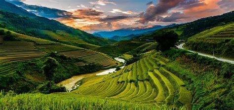 Image result for Vietnam Shell Exploding