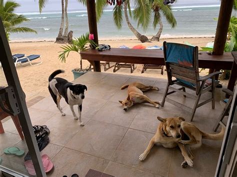 VAIAKURA HOLIDAY HOMES (Rarotonga/Arorangi, Cook Islands) - Lodging ...