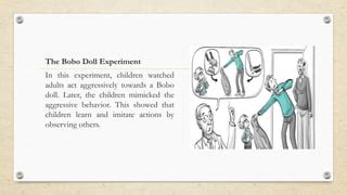 Observational Learning 的图像结果