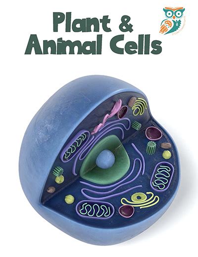 Cell Project 的图像结果