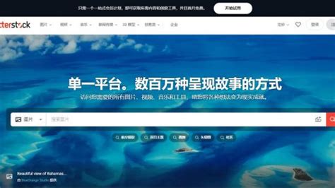 Shutterstock Tutorial 的图像结果