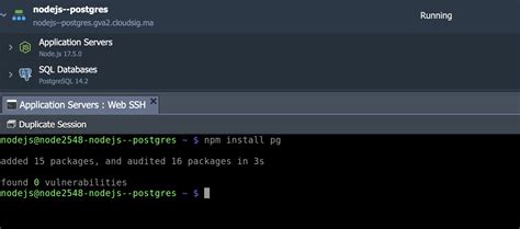 Image result for Node.js PostgreSQL Pool Connections