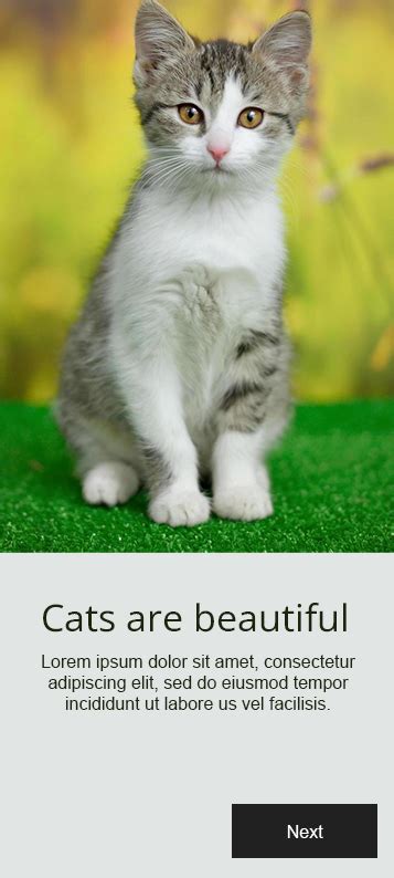 Image result for Padding Bottom Flutter