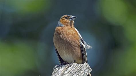 Blog Details | iLearn - EHF Learning Management System LMS