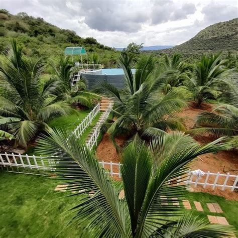 JUNGLE VALLEY FARM STAY (Cumbum) - B&B Reviews & Photos - Tripadvisor