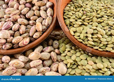 Dried lentils and beans stock photo. Image of seed, healthy - 18622524