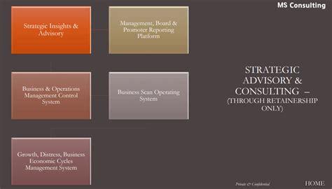 BI-Integrated Business Information System – MS Consulting