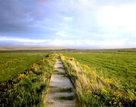 Image result for Windows Sample Video File Download