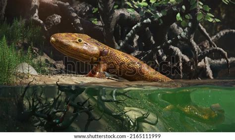 Image result for Extinct Fish