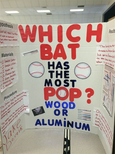 Image result for How to Create a Science Fair Project