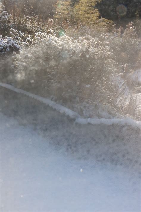 チャレンジしていく年にする : 〈Petit lab Bakery〉プチラボベーカリー ｜ 山口県美祢市のパン教室と小さなパン屋さんです