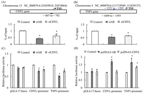 Application of Animal Models: From Physiology to Pathology